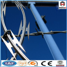 High quality galvanized Cross Razor coil wire Type